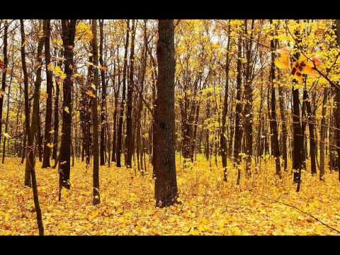 Дует "Світязь" - Листопад