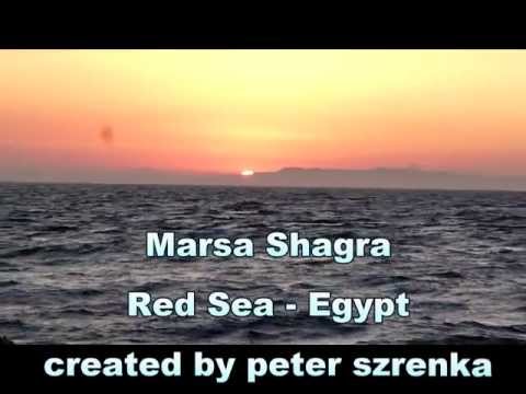 Marsa Shagra - Underwater World