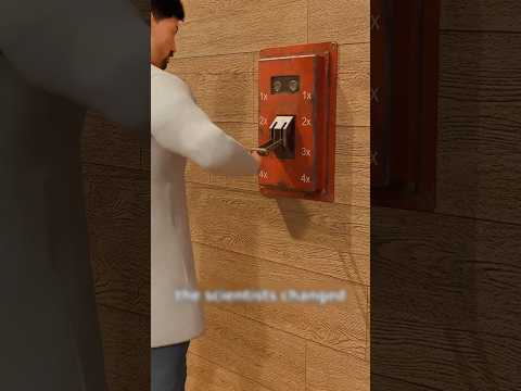 The Monkey Experiment 🐒 #shorts