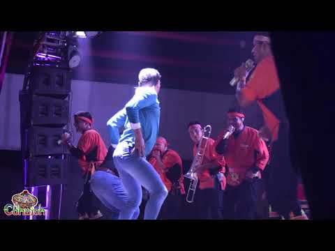 La Cumbia Master (En Vivo) 🎶