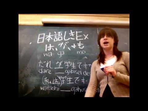 NihongoShiki Extra 2- The Japanese Topic/Subject Particles