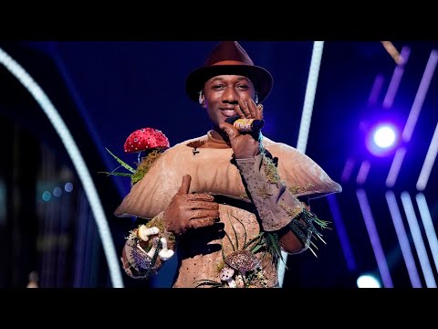 The Masked Singer 4 Finale - Mushroom Unmasked After finishing in 2nd Place