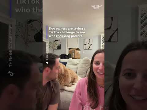 Who does your dog love more? This TikTok trend puts it to the test.