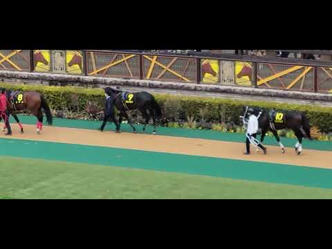 2022/02/20 東京 ヒヤシンスステークス クラウンプライド