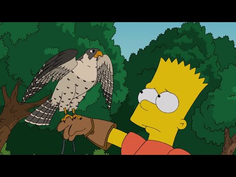 Extra Seconds Review - Diggs