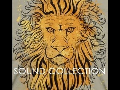 Sound Collection - Goodvibes