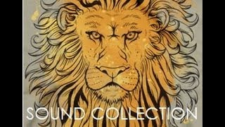 Sound Collection - Goodvibes
