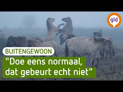 BuitenGewoon - Nieuwjaarspecial (terugblik)