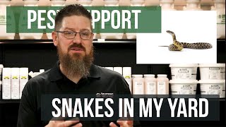 Why Do I Have Snakes In My Yard? | Pest Support