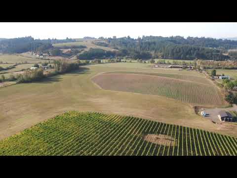 Deux Vert Vineyard Profile | Et Fille Wines