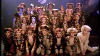 The Naming of the Cats - HD, from the Cats film