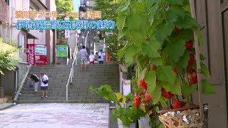 Ikaho area and the charm of its stone steps