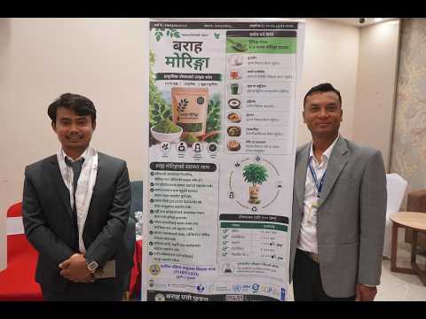 Moringa Cultivation to Processing: Hygienic and Safe Production Practices