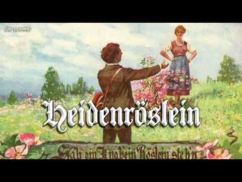 Heidenröslein [German folk song][+English translation]