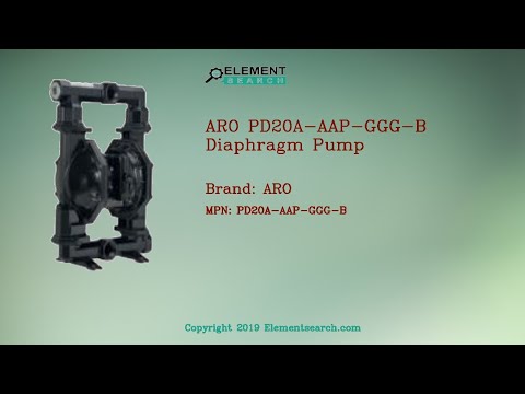 ARO PD20A-AAP-GGG-B Diaphragm Pump