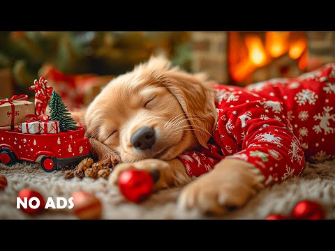 12 Hours of Dog Calming Music for Dogs 🐶🎅 Anti Separation Anxiety Relief 🎄 Deep Sleep 💖 No Ads