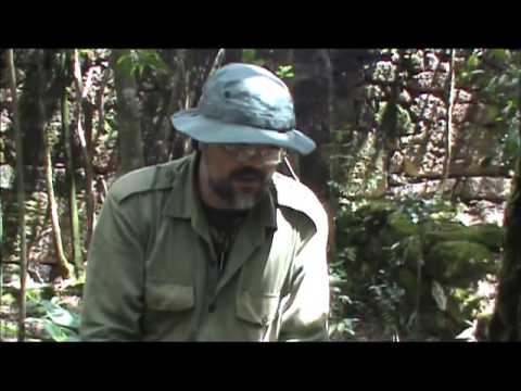 RECORD OF VIEWS WITH THE 1ST BUSH TALK BRAZIL