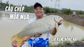 CÂU CÁ CHÉP - MÙA MƯA