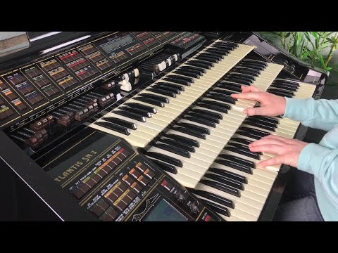 Those Were The Days (Mary Hopkin) - Pop Organ Hits / Florian Hutter - Wersi Atlantis