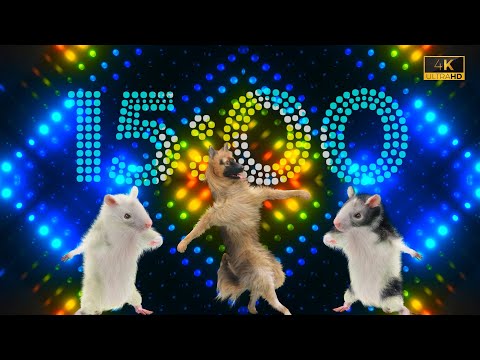 15 Minutes 4K Animal Dance Party with Party Dance Mix 🤘🎵