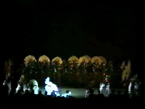 Aqua String Band 1990 Show of Shows