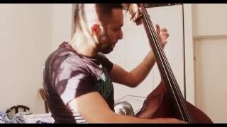 Nica Steps Out played on Upright Bass by Avri Borochov