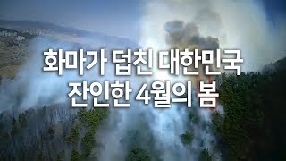 화마가 덥친 대한민국 '잔인한' 4월의 봄