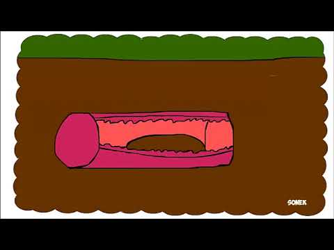 Как я Насрал в школе