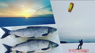 Зимние удочки для ловли сига