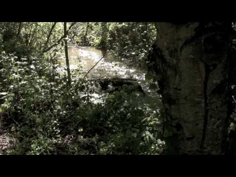 Foresta Orrore Inseguimento