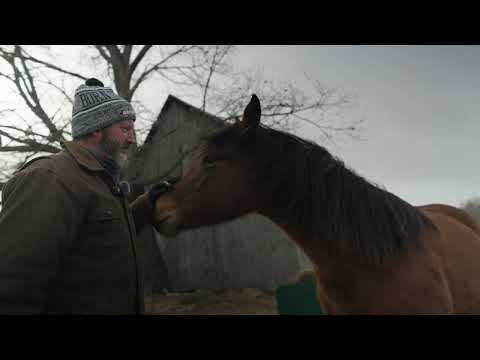 A Cold Day In The Barnyard At The Tom Green Farm