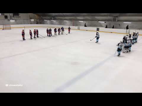 28.2.2021 Tappara Oranssi VS Pelicans Valkoinen HO