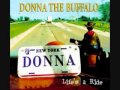 Donna the Buffalo - Blue Sky