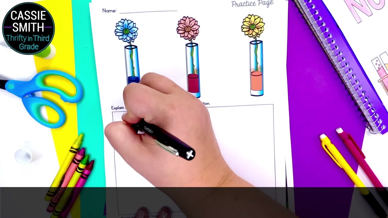 3rd Grade Science Bundle NGSS ALIGNED