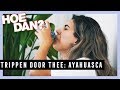ZO VERLOOPT AYAHUASCA TRIP ● HOE DAN?!