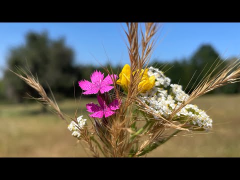 185. În mreaja vieții de păcat..  🎹 2026