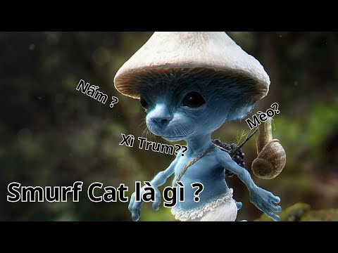 "Smurf Cat" là gì ? | Giải thích meme