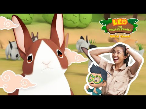 Witness21  2023 01 28