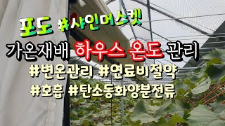 포도 가온재배 생육단계별 하우스 온도관리 