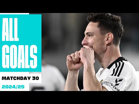 ALL GOALS Matchday 30 LALIGA Hypermotion 2024/25