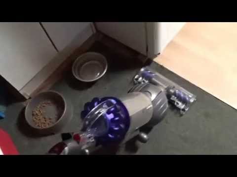 Dyson DC65 Animal vs heavily soiled carpet pt.1
