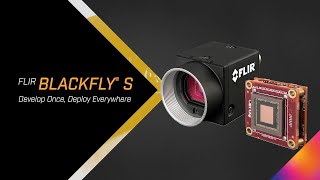 Blackfly S GigE: 5 MP, Color, C-mount | Teledyne Vision Blackfly S GigE: 5 MP, Color, C-mount | Teledyne Vision