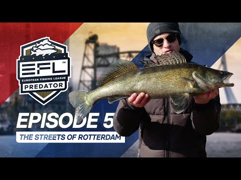 The streets of Rotterdam - Episode 5 EFL 2023