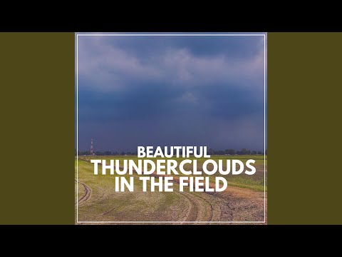Beautiful Thunderclouds in the Field, Pt. 20