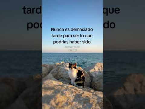 Michi #seguidores #frases #viral