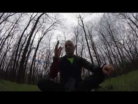 Kako Sam I Zašto Postao Vegan?