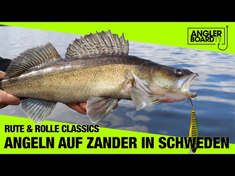 Angeln in Schweden | Zander pelagisch | RUTE & ROLLE Classic | Anglerboard TV