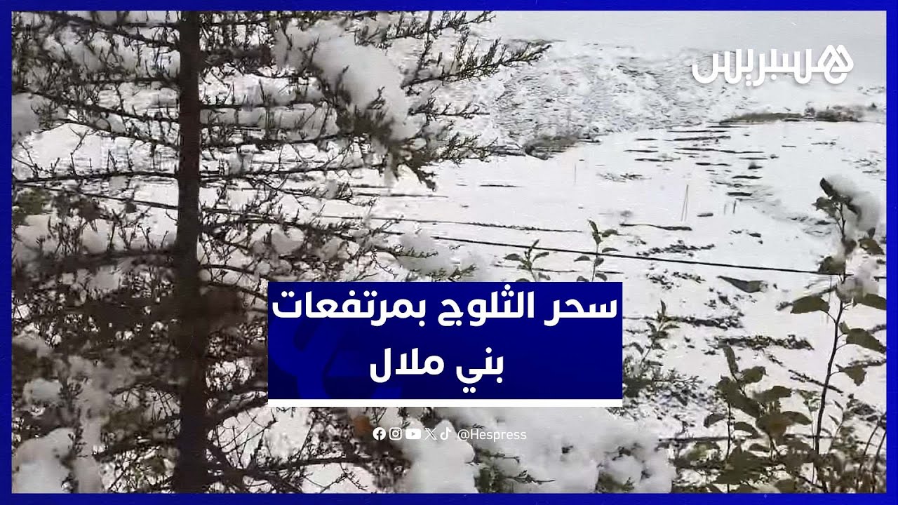 تساقطات ثلجية كثيفة تغطي مرتفعات بني ملال وتصنع لوحات طبيعية مبهرة thumbnail