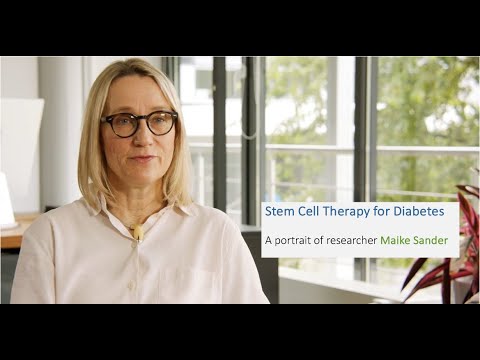 Stem Cell Therapy for Diabetes: A portrait of researcher Maike Sander