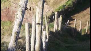 Our Father - John Moloney